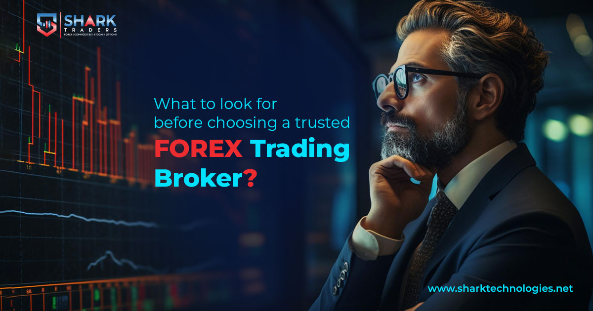 What To Look For Before Choosing a Trusted Forex Trading Broker?
