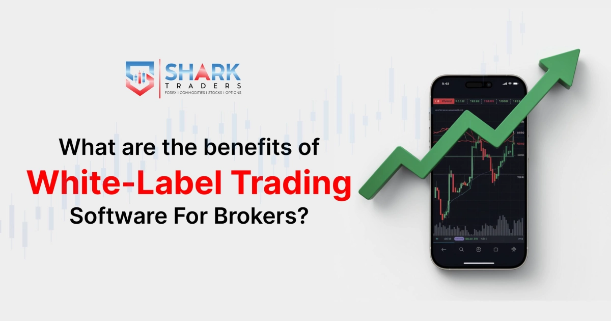 What Are The Benefits Of White-Label Trading Software For Brokers?