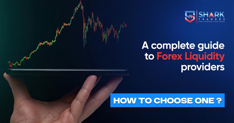 A Complete Guide to Forex Liquidity Providers and How to Choose One ?