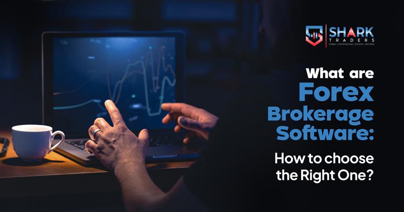 What Are Forex Brokerage Software: How to Choose The Right One?