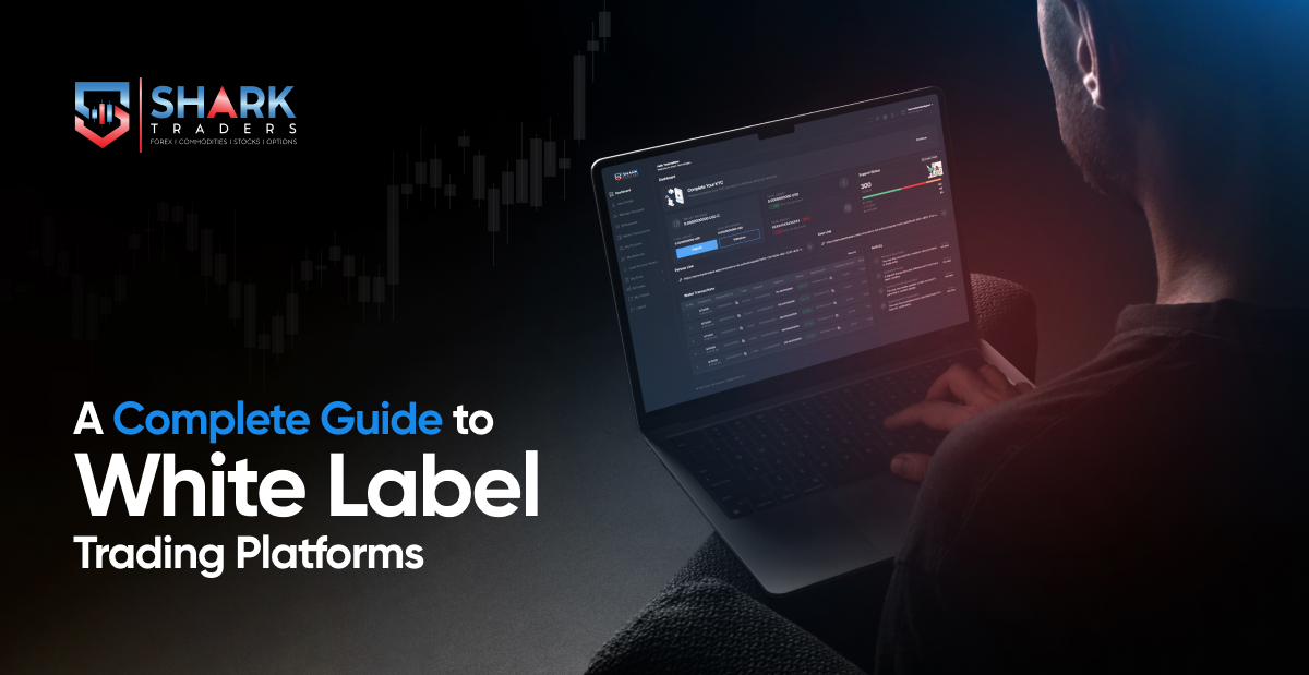 A Complete Guide To White Label Trading Platforms