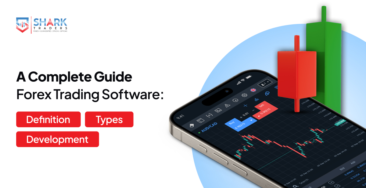 A Complete Guide to Forex Trading Software: Definition, Types & Development